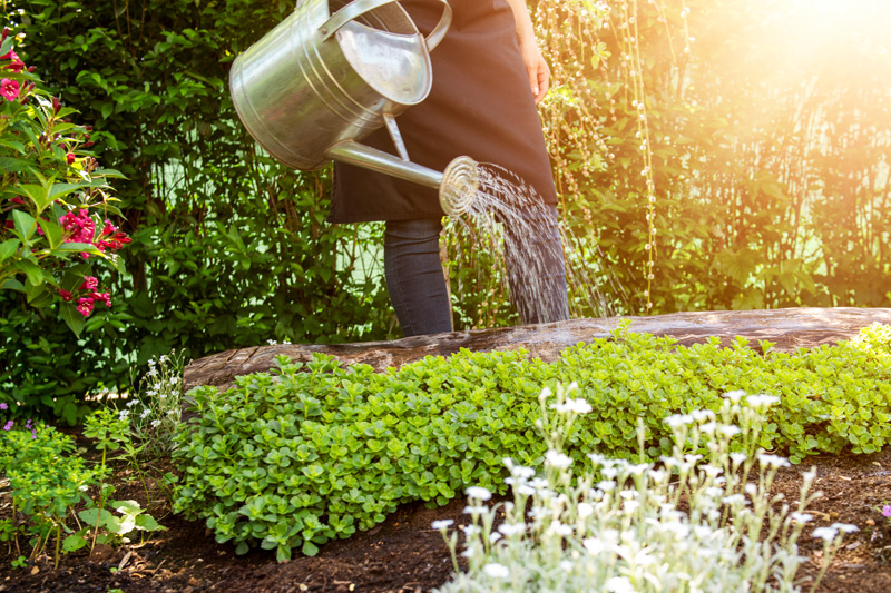 brighten-up-your-garden